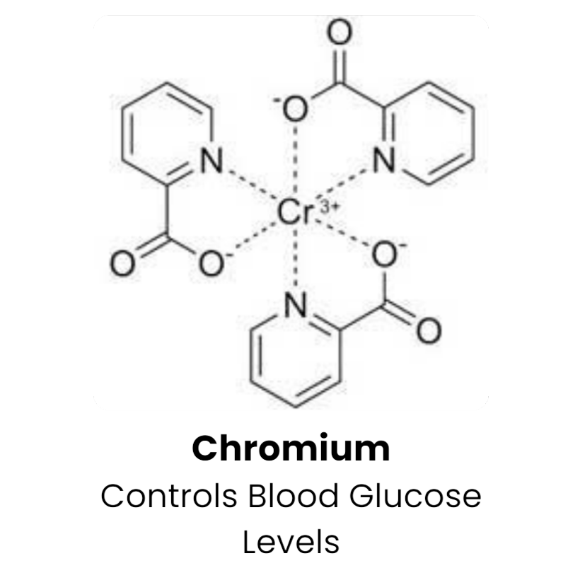 sugar defender - ingredients (7)